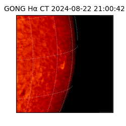 gong - 2024-08-22T21:00:42