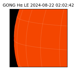 gong - 2024-08-22T02:02:42