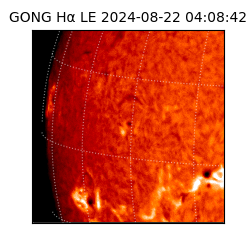 gong - 2024-08-22T04:08:42