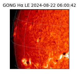 gong - 2024-08-22T06:00:42