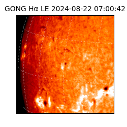 gong - 2024-08-22T07:00:42