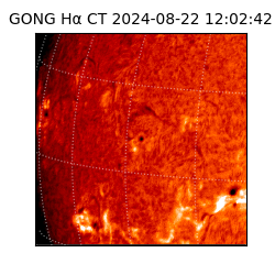 gong - 2024-08-22T12:02:42