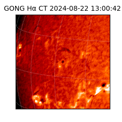 gong - 2024-08-22T13:00:42