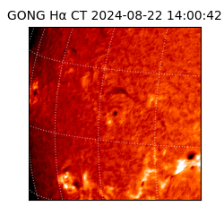 gong - 2024-08-22T14:00:42