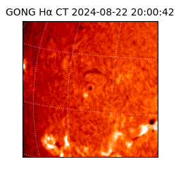 gong - 2024-08-22T20:00:42