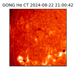 gong - 2024-08-22T21:00:42