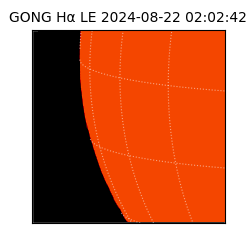 gong - 2024-08-22T02:02:42