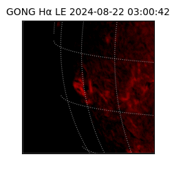 gong - 2024-08-22T03:00:42