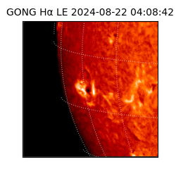 gong - 2024-08-22T04:08:42