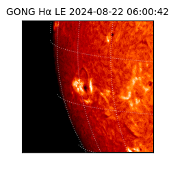 gong - 2024-08-22T06:00:42