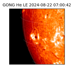 gong - 2024-08-22T07:00:42