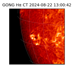 gong - 2024-08-22T13:00:42