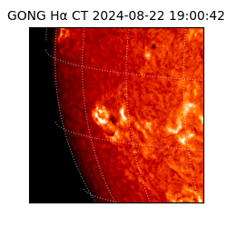 gong - 2024-08-22T19:00:42