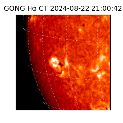 gong - 2024-08-22T21:00:42