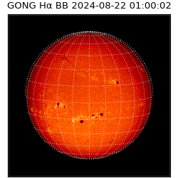 gong - 2024-08-22T01:00:02