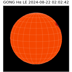 gong - 2024-08-22T02:02:42