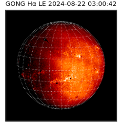 gong - 2024-08-22T03:00:42