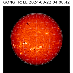 gong - 2024-08-22T04:08:42