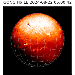 gong - 2024-08-22T05:00:42
