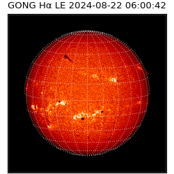 gong - 2024-08-22T06:00:42