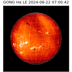 gong - 2024-08-22T07:00:42