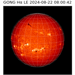 gong - 2024-08-22T08:00:42