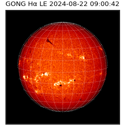 gong - 2024-08-22T09:00:42