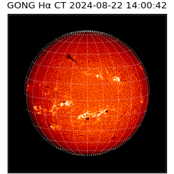 gong - 2024-08-22T14:00:42