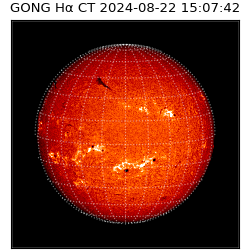 gong - 2024-08-22T15:07:42