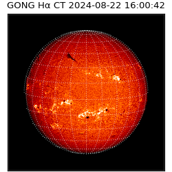 gong - 2024-08-22T16:00:42