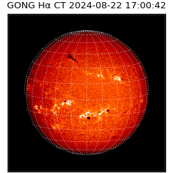 gong - 2024-08-22T17:00:42