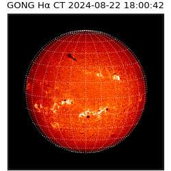 gong - 2024-08-22T18:00:42