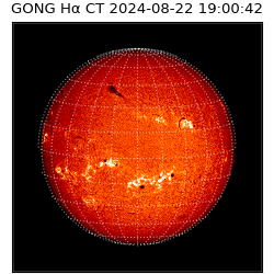 gong - 2024-08-22T19:00:42