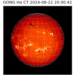 gong - 2024-08-22T20:00:42