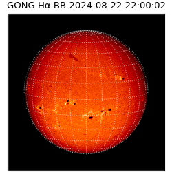 gong - 2024-08-22T22:00:02
