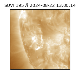 suvi - 2024-08-22T13:00:14.610000