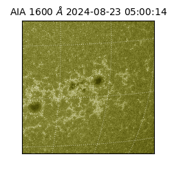 saia - 2024-08-23T05:00:14.130000