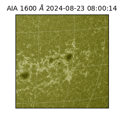 saia - 2024-08-23T08:00:14.130000