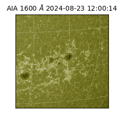 saia - 2024-08-23T12:00:14.130000