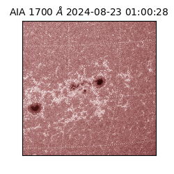 saia - 2024-08-23T01:00:28.720000