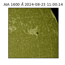 saia - 2024-08-23T11:00:14.130000