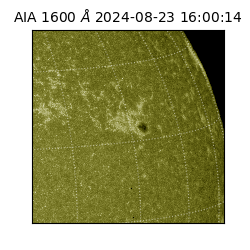 saia - 2024-08-23T16:00:14.130000