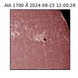 saia - 2024-08-23T12:00:28.720000