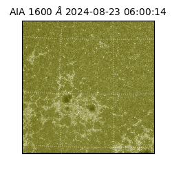 saia - 2024-08-23T06:00:14.130000