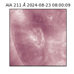 saia - 2024-08-23T08:00:09.630000