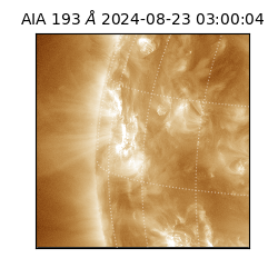 saia - 2024-08-23T03:00:04.840000