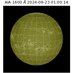 saia - 2024-08-23T01:00:14.130000