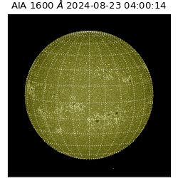 saia - 2024-08-23T04:00:14.130000