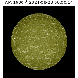 saia - 2024-08-23T08:00:14.130000