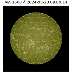 saia - 2024-08-23T09:00:14.130000